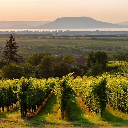 Apartamento In - Balaton 18182 Balatonboglár